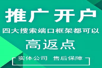 案例解析：SEM搜索引擎优化助力电商快速崛起